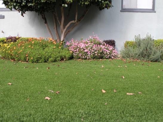 Artificial Grass Photos: Turf Grass San Marcos, California Home And Garden, Landscaping Ideas For Front Yard