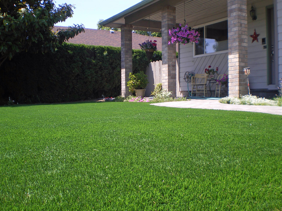 Synthetic Grass Citrus California, Free Landscaping Ideas Front Yard