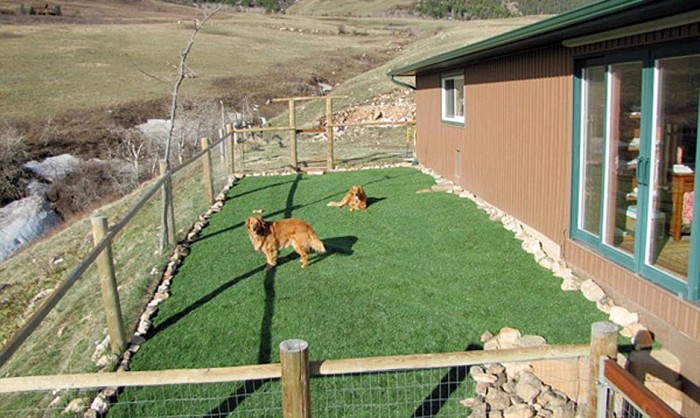 Pet Grass, Artificial Grass For Dogs in Vista