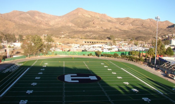 Sports Fields Synthetic Grass in Vista and Vista area